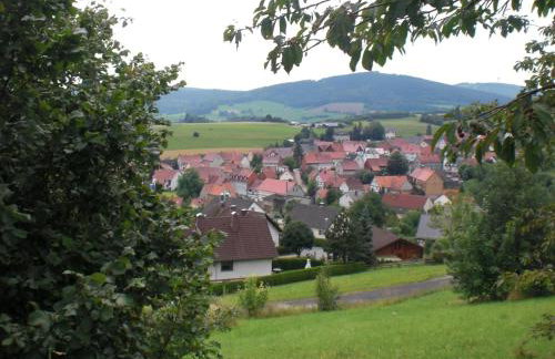 Dog-friendly Holiday Home in the Knull - Foto 23