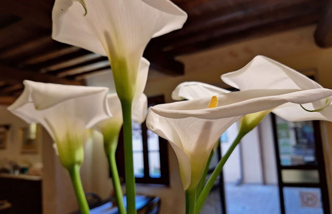 Antico Borgo il Cardino - Photo 49