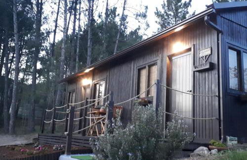 Casinha do Cedro - Foto 5