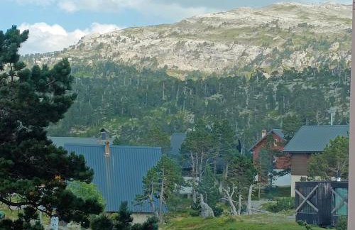 Les myrtilles La Pierre Saint Martin - Foto 7