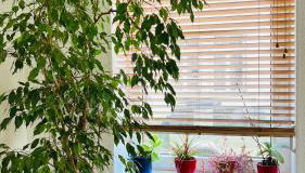 Großes und helles Innenstadt Apartment - Ferienwohnung - Foto 4