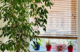 Großes und helles Innenstadt Apartment - Ferienwohnung - Foto 4