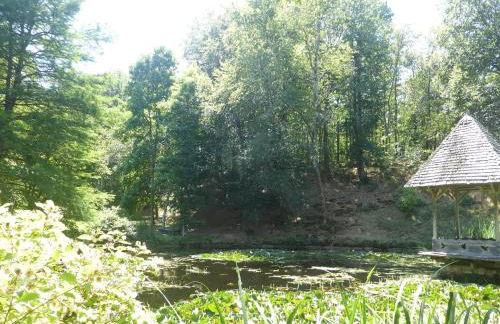 La petite vallée - Photo 41