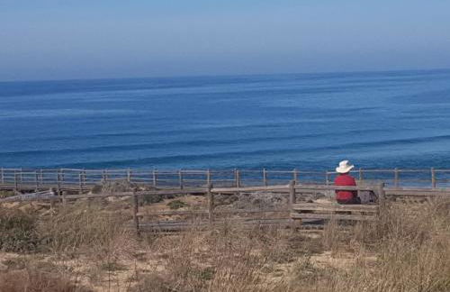 Gecko Pego Longo - Foto 31