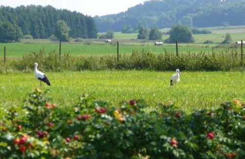 Waldraff Comfortable holiday residence - Foto 13