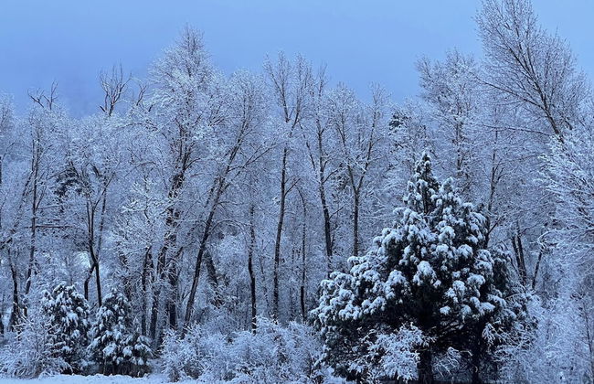 NEW 3bed 2bath With Creek and Open Spaces - Foto 20