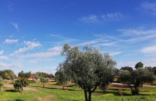 Burrico D`Orada - Rural Stays & Wine Country Tours - Foto 65