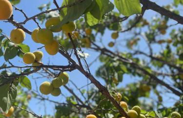 Aegean Endless Summer Villa Pefkos - Foto 19