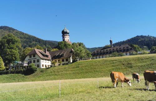 Ferienwohnung Vogelsang im Schwarzwald - Foto 34