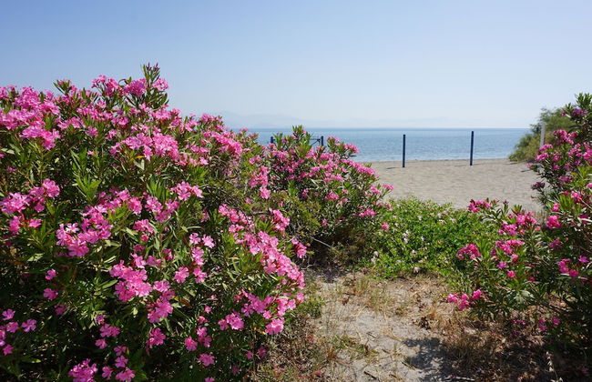 MariRena plaz - Foto 14