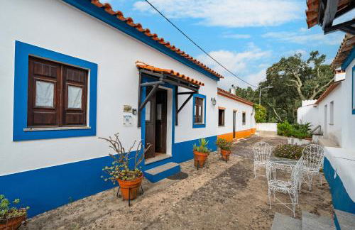 Horta Do Zé Miguel - Foto 12