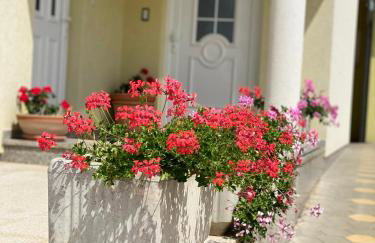 Apartment Komljenovic - Photo 76