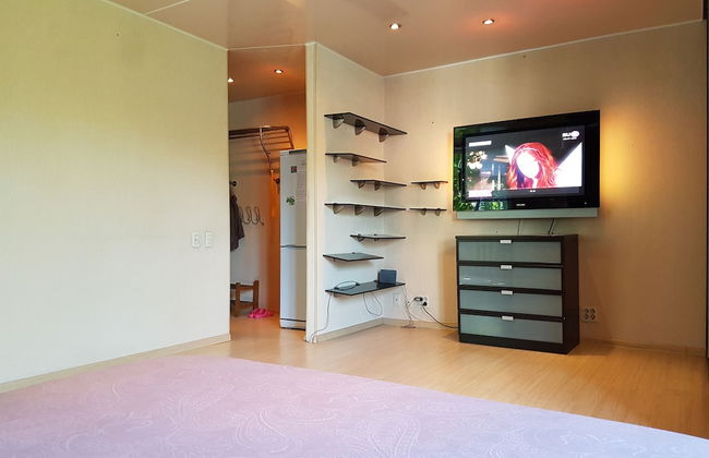 DeLuxe Apartment Novocheremuchkinskaya - Photo 7