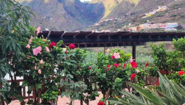 Casa Rural La Pitanga - Foto 3