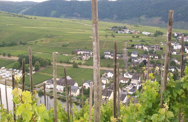 in Landhuisstijl met Uitzicht op de Moezel - Photo 11