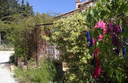 Mas de la Petite Jeanne - Foto 56