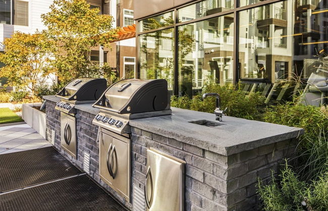 Global Luxury Suites at Reston - Foto 41