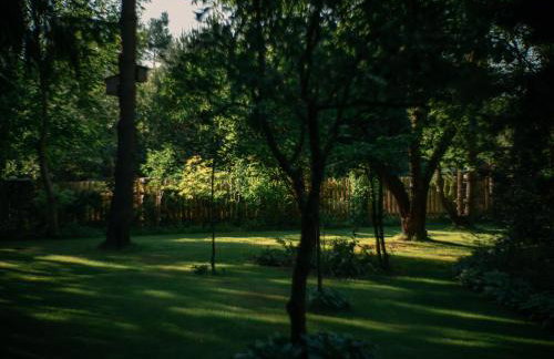 Przystanek Zielnik - Foto 12