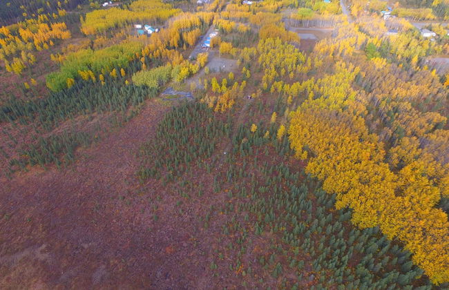 Bella Haven Estates - Foto 17