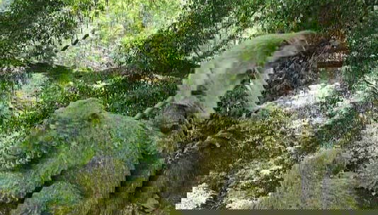 Visita guiada por Ubud - Foto 3, Bosque de los monos