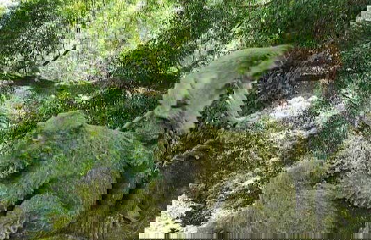 Visita guiada por Ubud - Foto 3