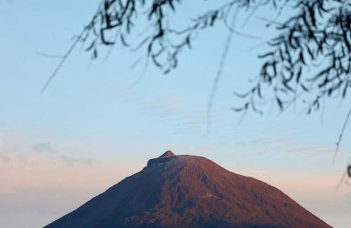 Cantinho dos Cagarros - Photo 31