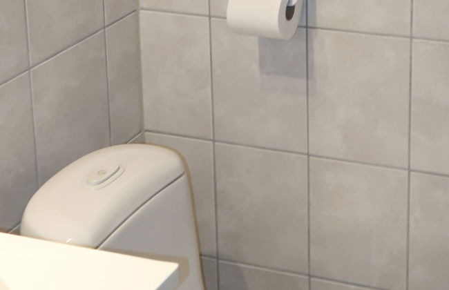 Skeisvegen - Foto 19