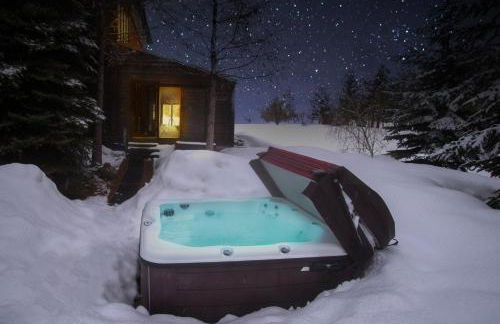 Bear Lodge with private Pool, Hottub, and Sauna! - Photo 8