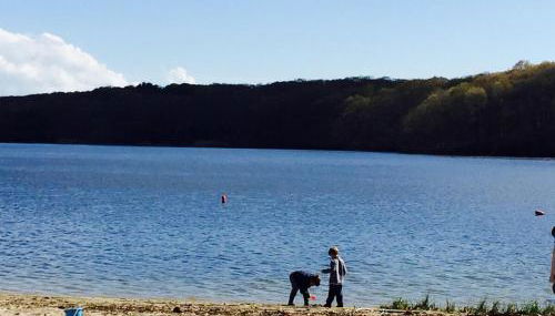 The Beach Gallery - Foto 5