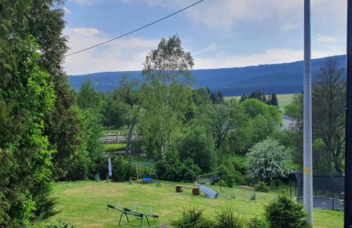 Domki Dzika Orlica - Foto 40