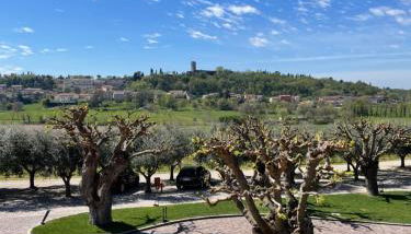 Relais Agriturismo Casina Ricchi - Foto 4