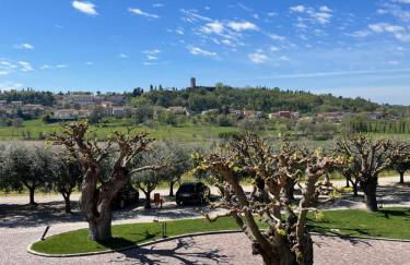 Relais Agriturismo Casina Ricchi - Photo 4