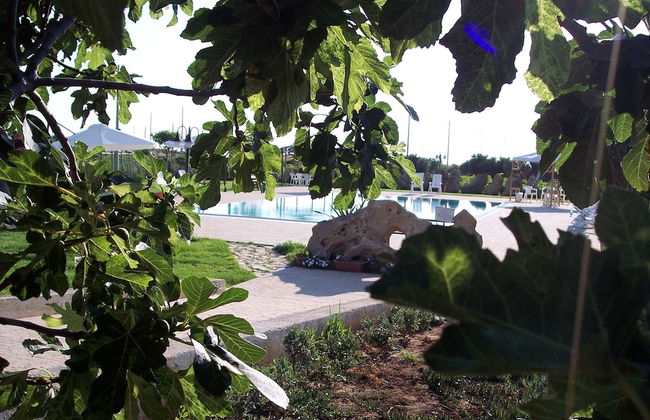 Agriturismo Le Arcate - Foto 8