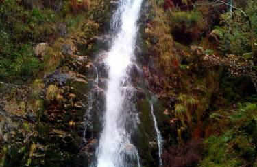 Casa o Furco - Foto 37