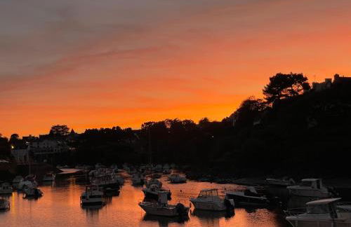 Ty Glazu Villa neuve grand confort, jardin 1600m2, GR34, criques, restos et port Doelan à pied - Foto 55