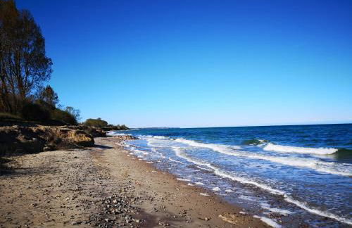 Hof am Meer "Seemöwe" - Foto 37