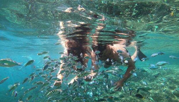 Snorkelling in Gili Meno - Foto 2