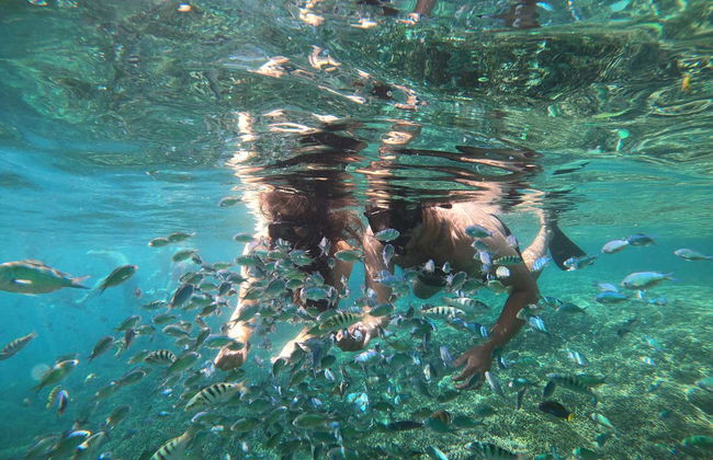 Snorkelling in Gili Meno - Foto 2