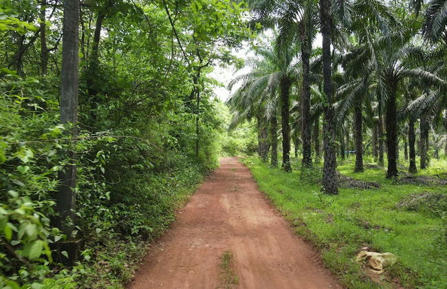 Indira Farms - Foto 35