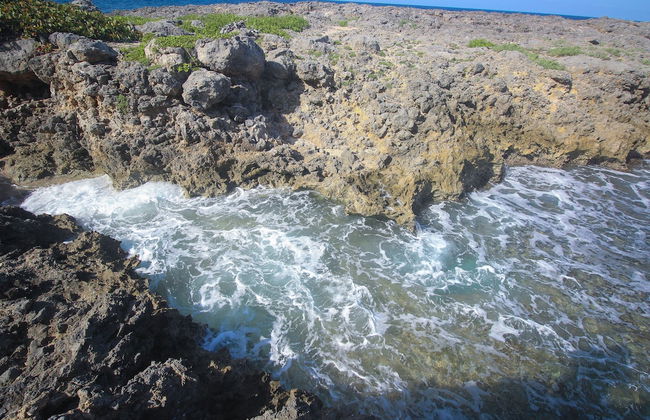 Cottage On The Ocean - Foto 23