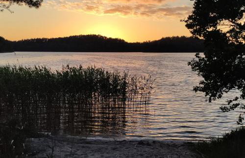 Widny Jaś zaprasza z psem nad jezioro na Kaszubach - Foto 35