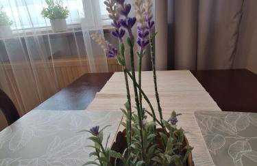 ,,Arts home,, -Zapraszam-doskonała lokalizacja,przestronne mieszkanie,blisko pkp,autobusy ztm,blisko Aldi,Żabka,Lidl,Rosmann,Pepco i inne - Foto 7