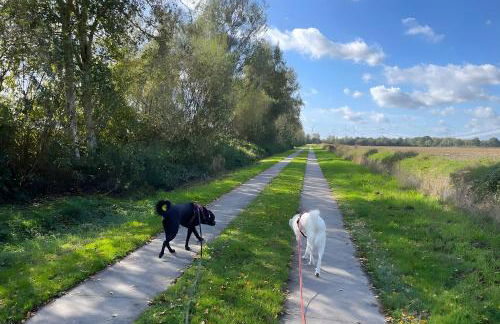 Ferienhaus Auszeit am See - Foto 36