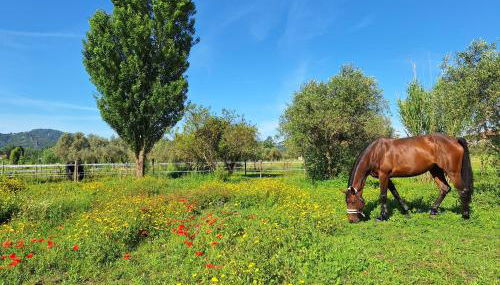 La Casa di MaJa - Foto 2