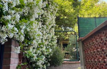 Bilocale con giardino a Pomaia - Foto 10