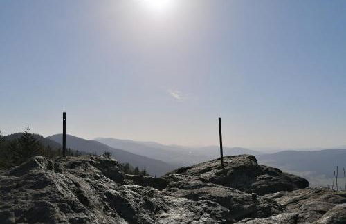 Bayerwald Chalet Liebenstein - Foto 28