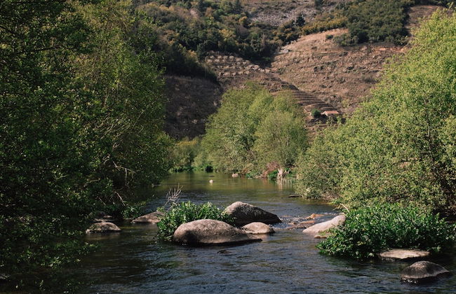 Quinta de Recião - Foto 80