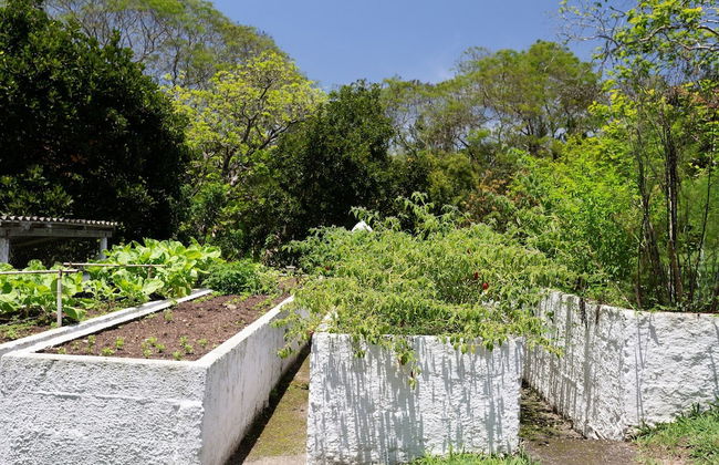 Sítio Dels Serrans - Jacareí - Photo 61