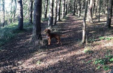 The Apartment - Foto 54