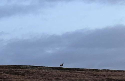 Locholly Lodge - Foto 47